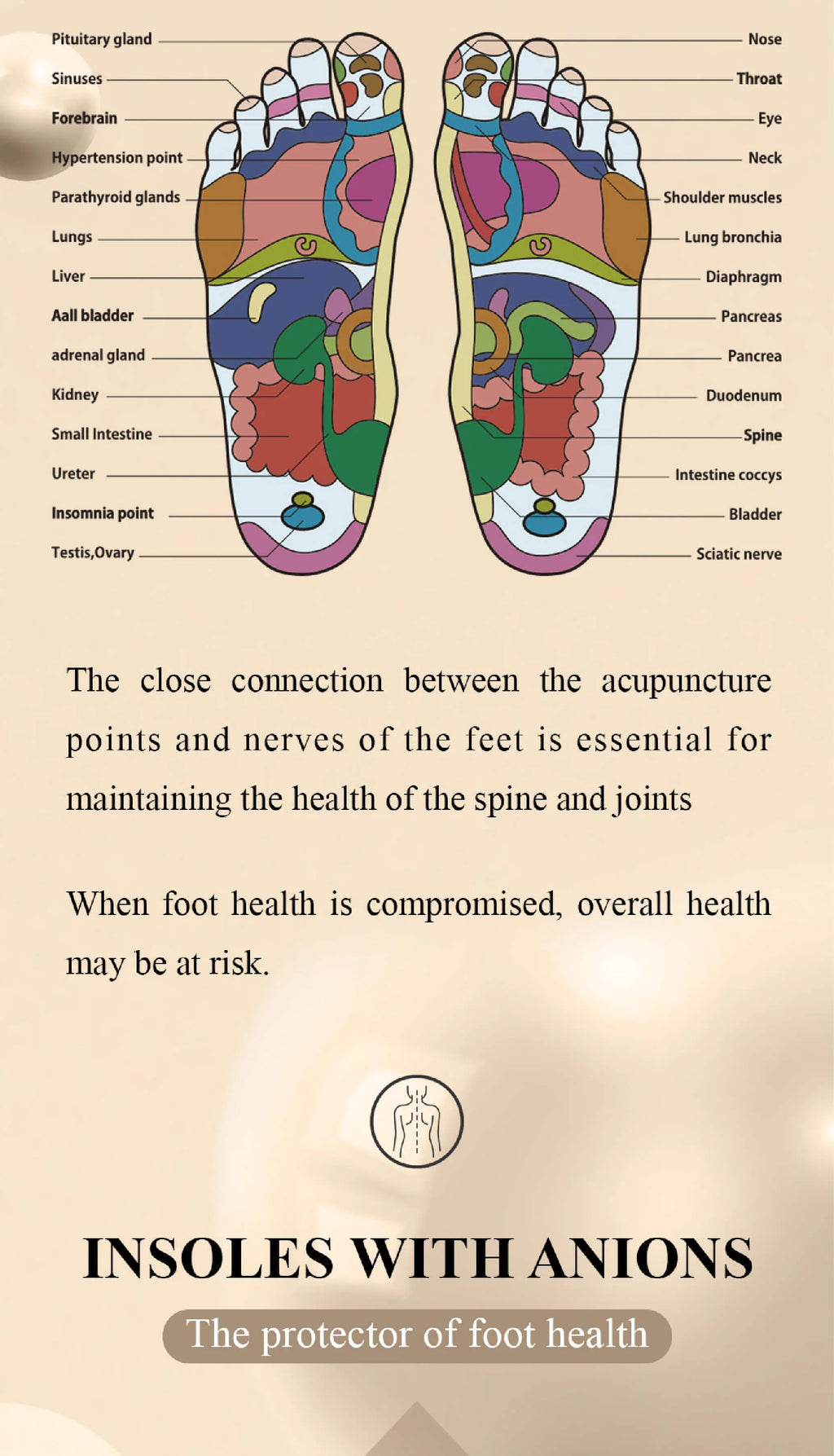 Anatomically Shaped Wellness Insoles with Anions by Zenthra